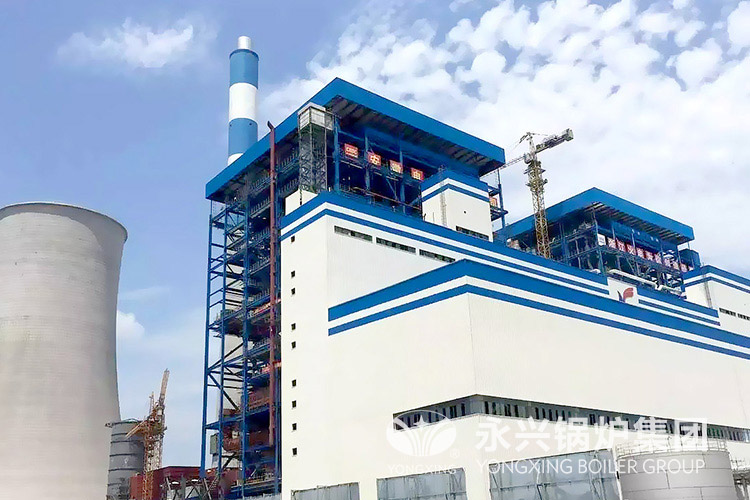 杰象药材20吨循环流化床锅炉